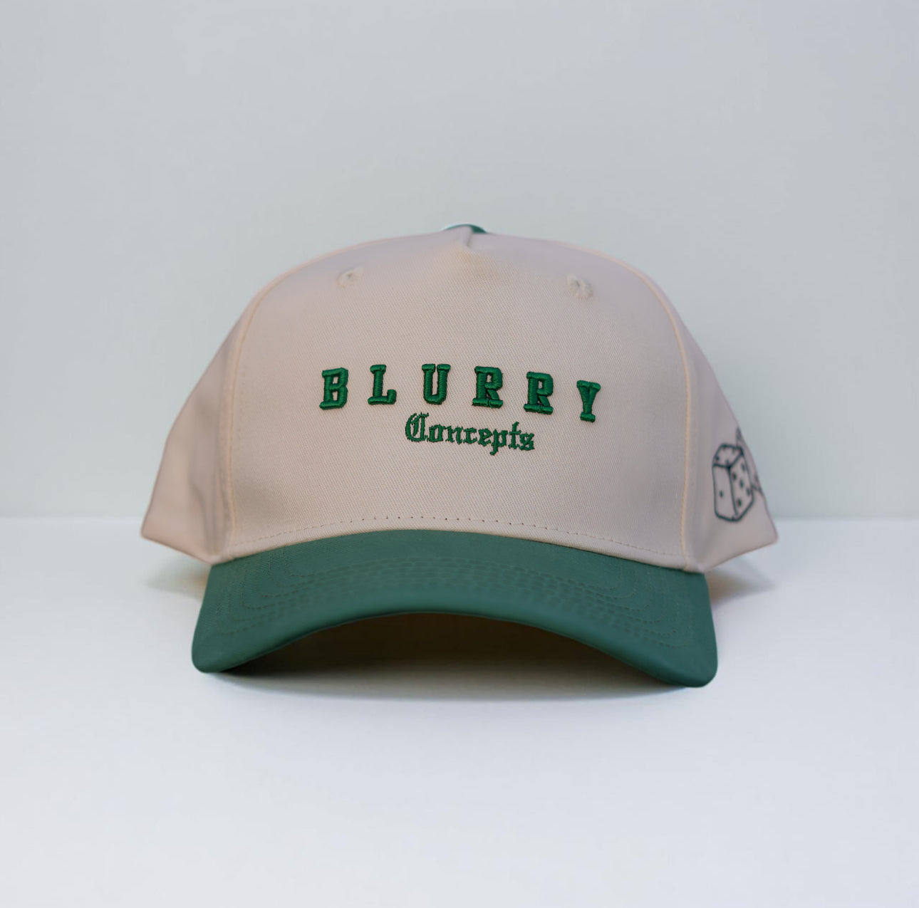BC “TTR” SNAPBACK
